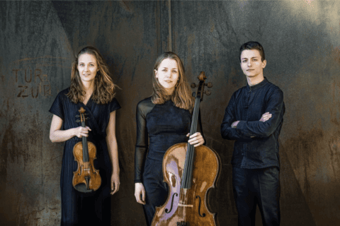 2026 10 15 2. konzert musikverein amelio trio website